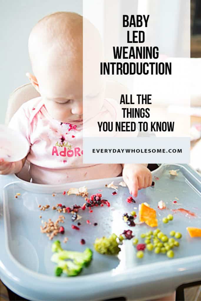 baby led weaning feeding introduction first foods