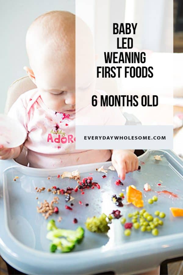 BABY LED WEANING FIRST FOODS 6 MONTHS OLD