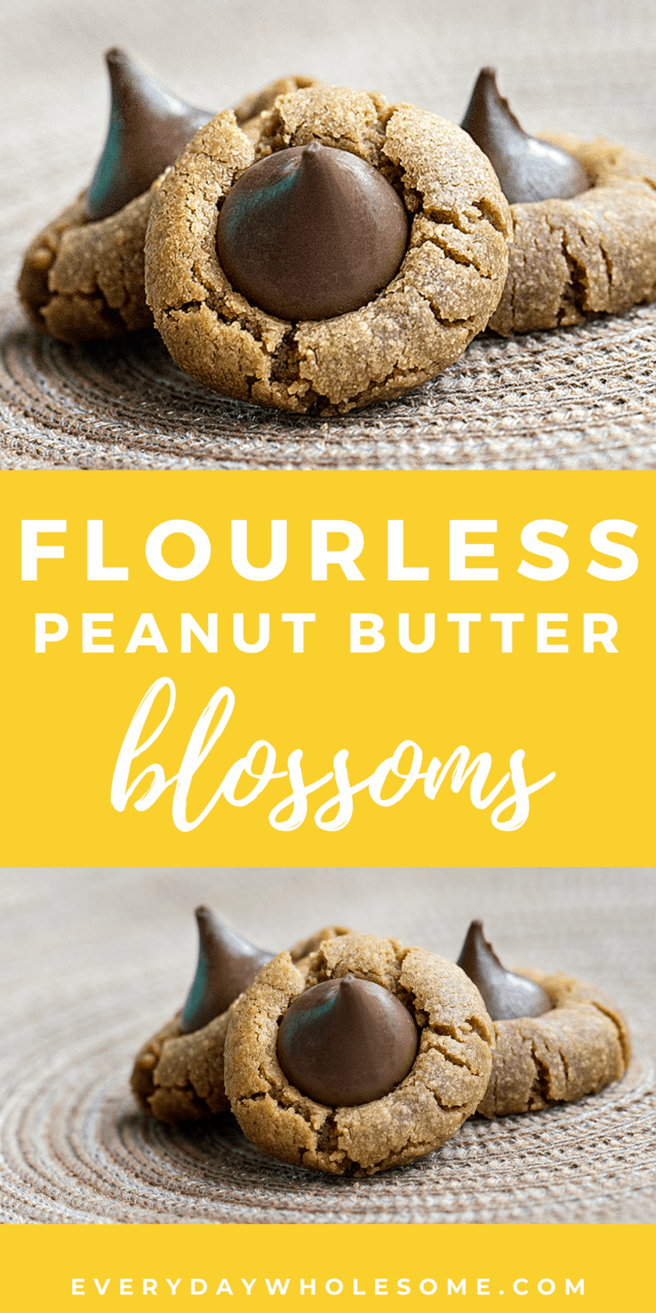 peanut butter blossom cookies recipe