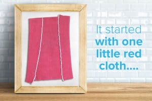 history of Norwex why