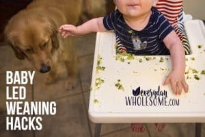 baby led weaning hacks modifications