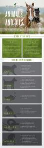 ANIMALS AND ESSENTIAL OILS INFOGRAPHIC