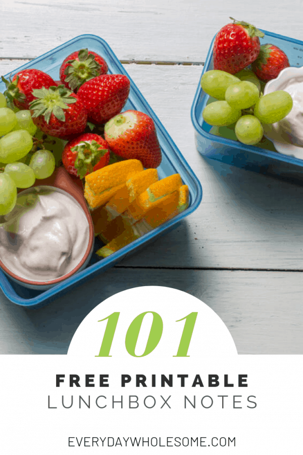 101 FREE PRINTABLE LUNCHBOX NOTES FOR KIDS