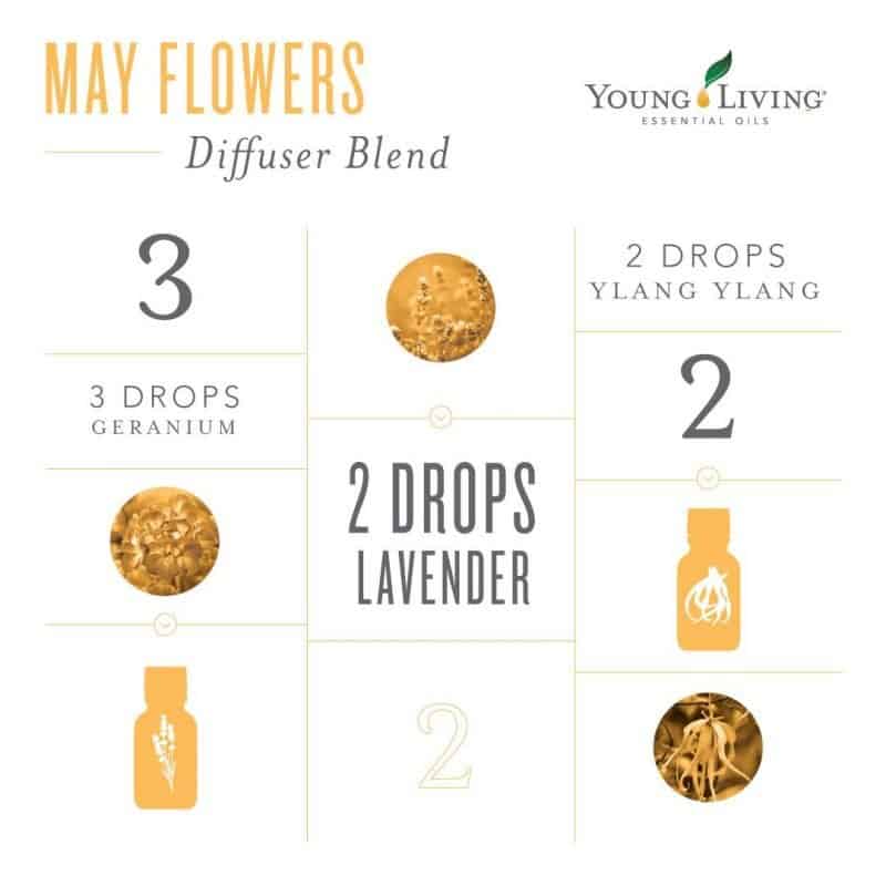 Everyday Wholesome 50 Best Young Living Essential Oil Diffuser Recipes