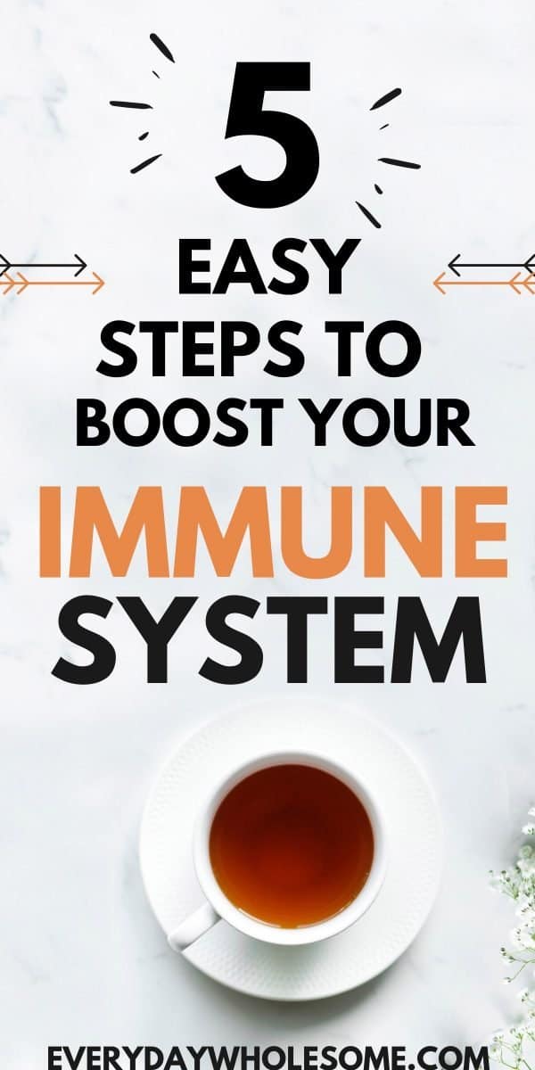 Everyday Wholesome How to Boost Your Immune System