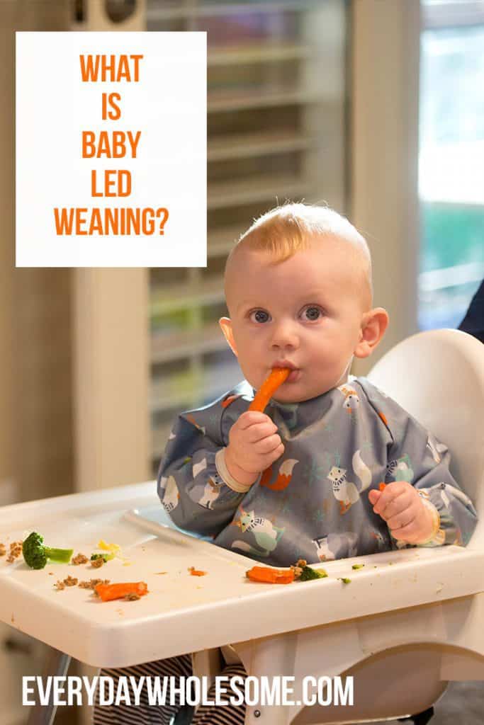 What is baby led weaning. how to do blw. blw first foods.