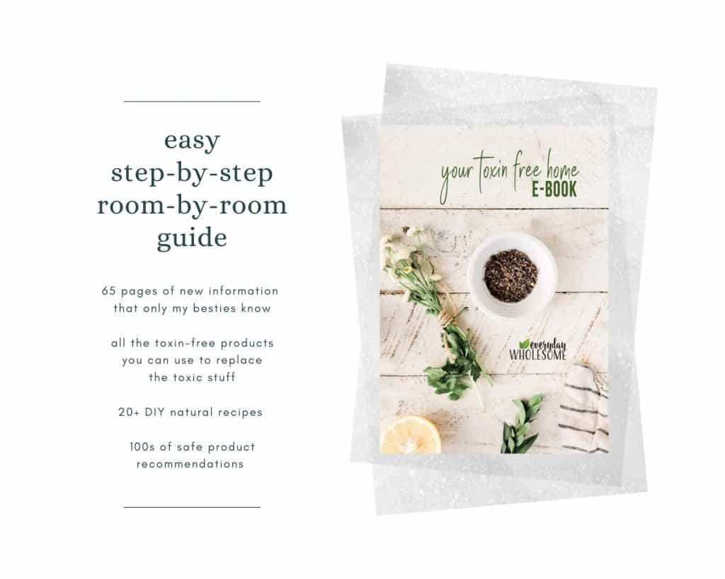 your toxin-free home ebook