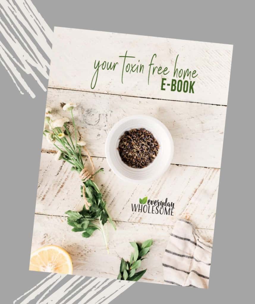 your toxin-free home ebook