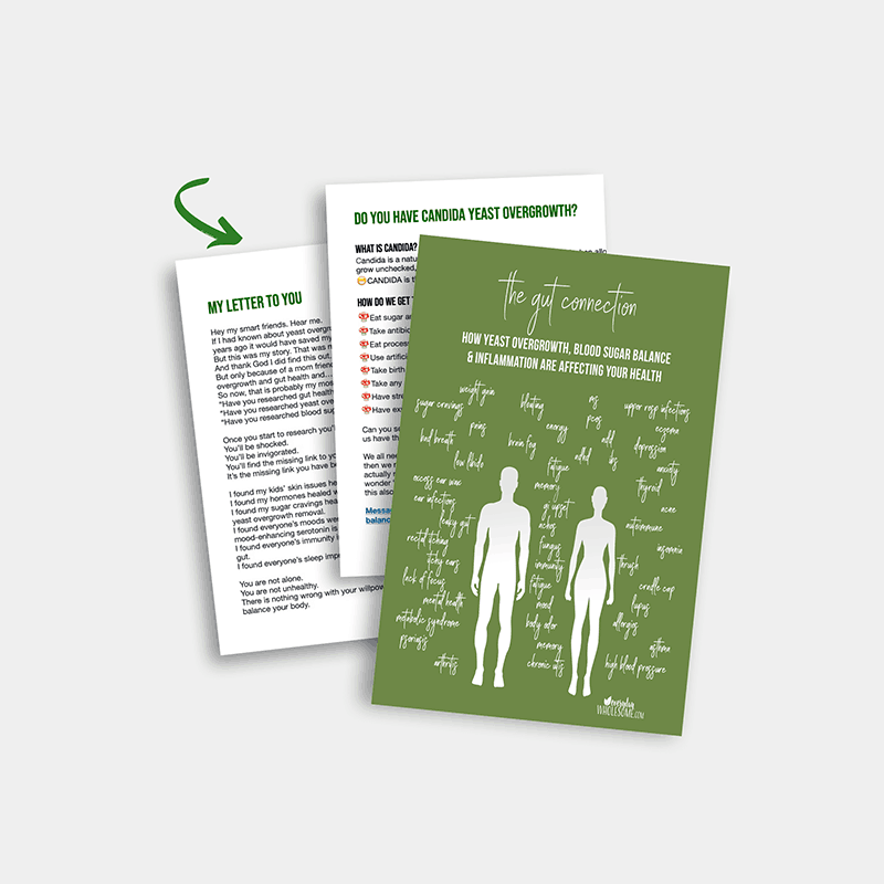 GUT-CONNECTION-IMAGE-800 the gut connection e book