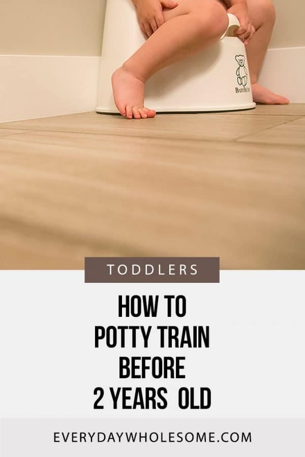 Everyday Wholesome How to Potty Train your Toddler Early Before 24