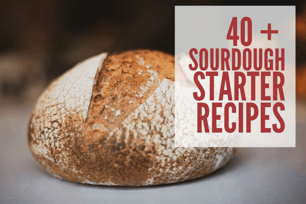 40 Best Sourdough bread recipes with starter | rolls, donuts, pancakes, cornbread, English muffins