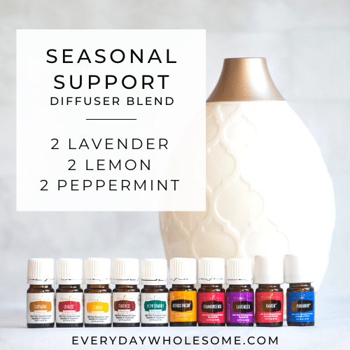 Seasonal Support-image