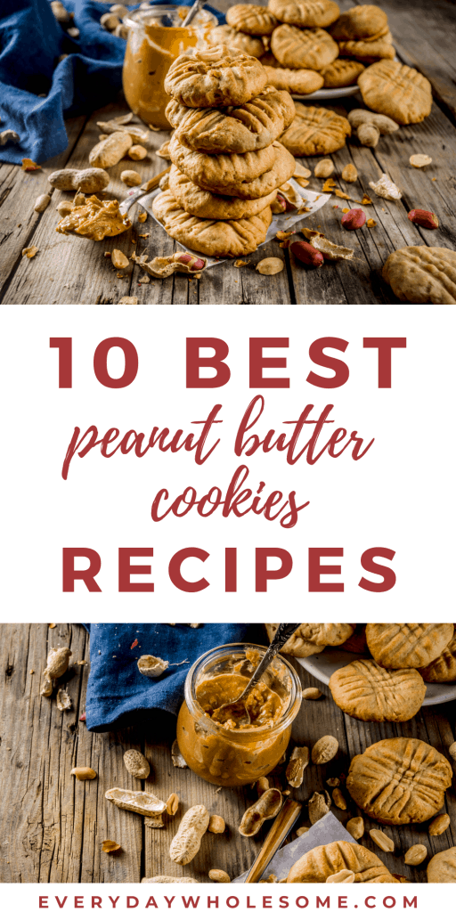 10 BEST PEANUT BUTTER COOKIES RECIPES