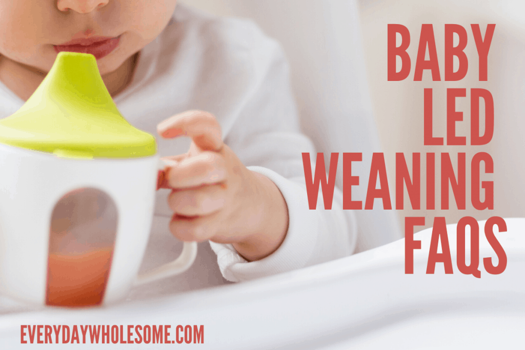 baby led weaning faqs