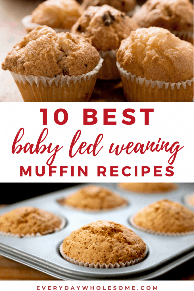 10 BEST BABY LED WEANING MUFFIN RECIPES