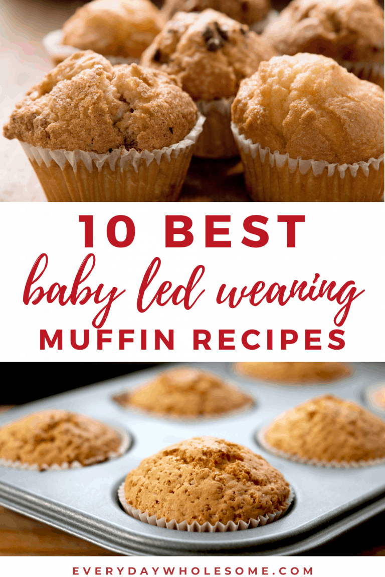 Everyday Wholesome 10 Best Baby Led Weaning Muffin Recipes
