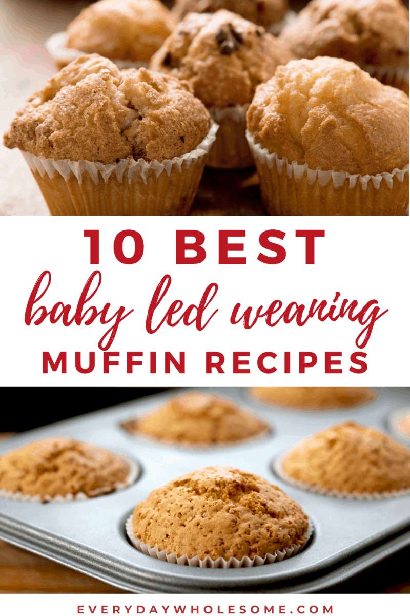 Everyday Wholesome 10 Best Baby Led Weaning Muffin Recipes