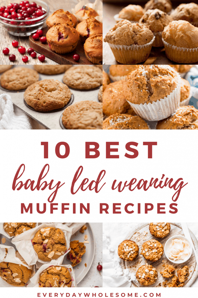 Everyday Wholesome 10 Best Baby Led Weaning Muffin Recipes