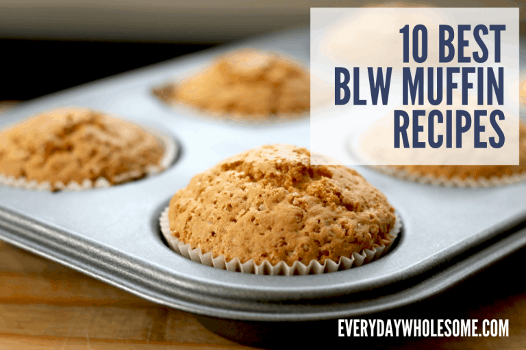 10 Best Baby Led Weaning Muffin Recipes