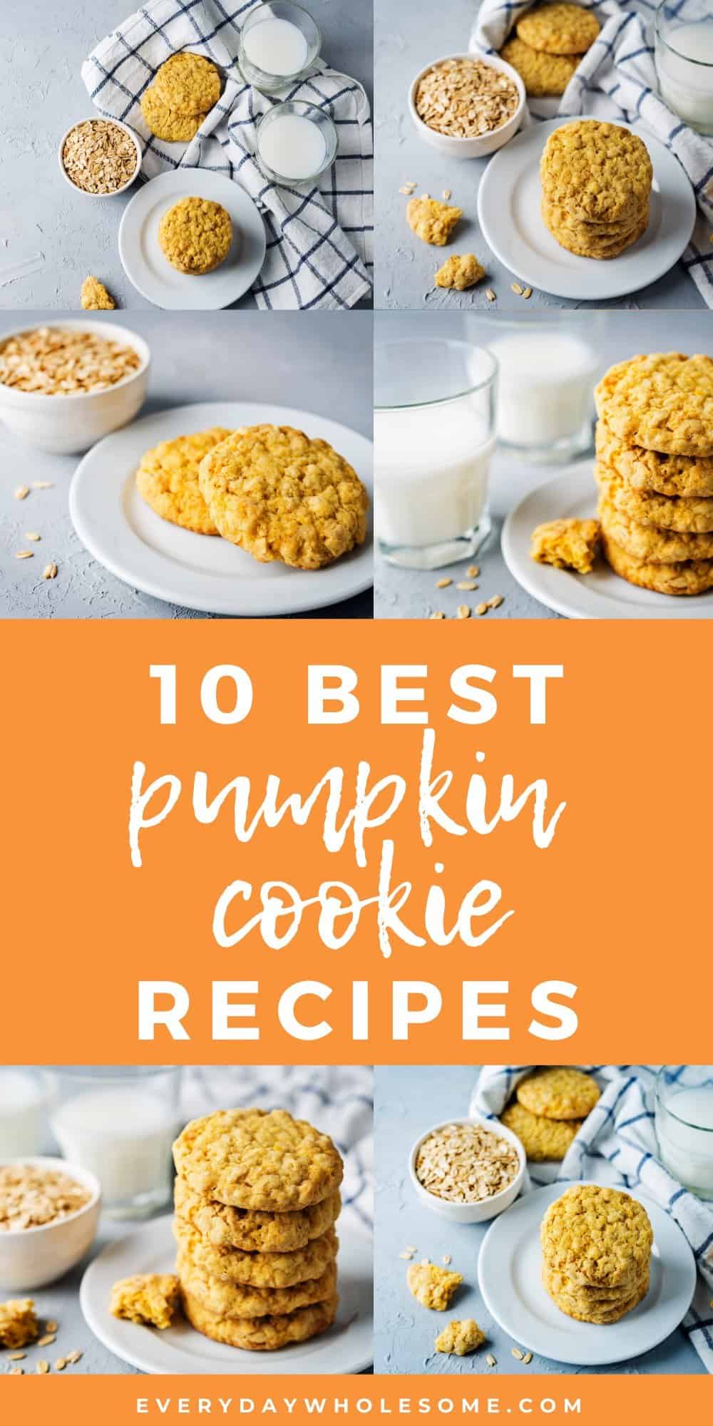 10 best pumpkin cookie oatmeal recipes