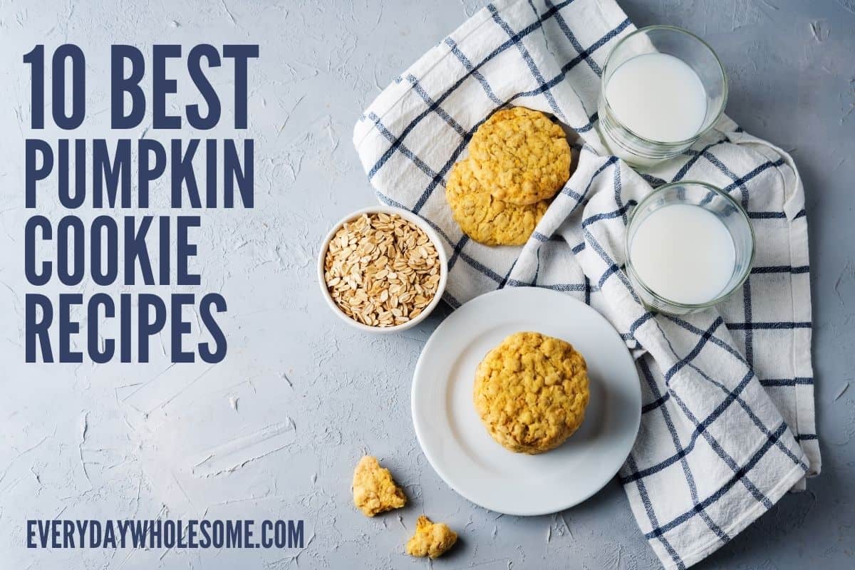 10 best pumpkin cookie recipes featured
