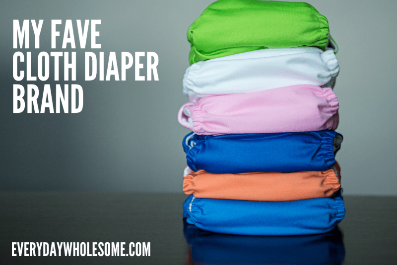 Everyday Wholesome Best Bamboo Cloth Diaper Brands Compared