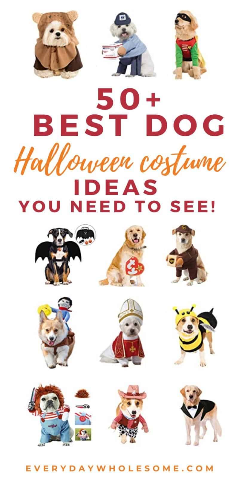 Everyday Wholesome | 50 Best Halloween Dog Costumes