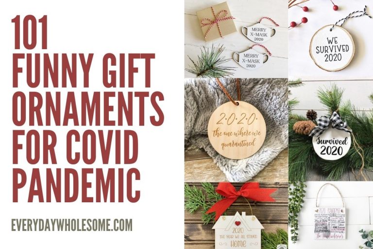 101 Funny Pandemic Commemorative Ornaments Gift Guide 2020