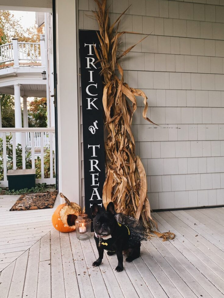 Image for Trick or Treat Front Porch Sign Halloween Sign Halloween | Etsy