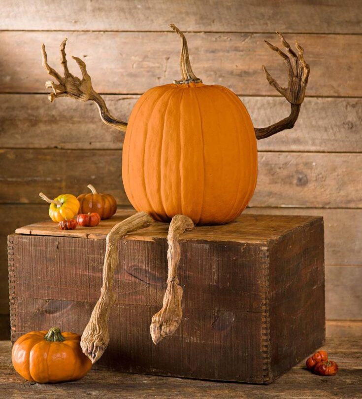 Image for Posable Pumpkin Vine Arms and Legs Set