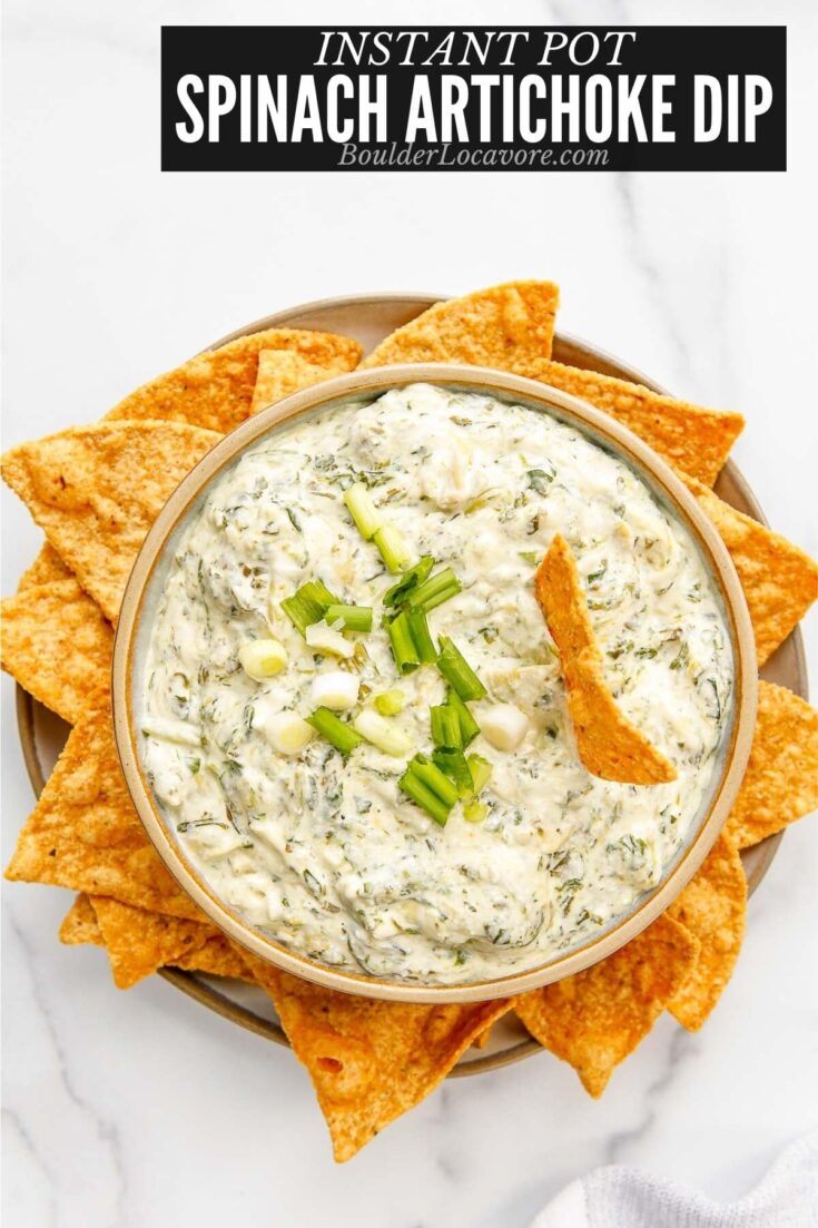 Image for Instant Pot Spinach Artichoke Dip