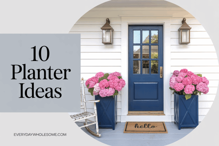 10 Beautiful Planter Ideas to Style Your Front Porch Year-Round