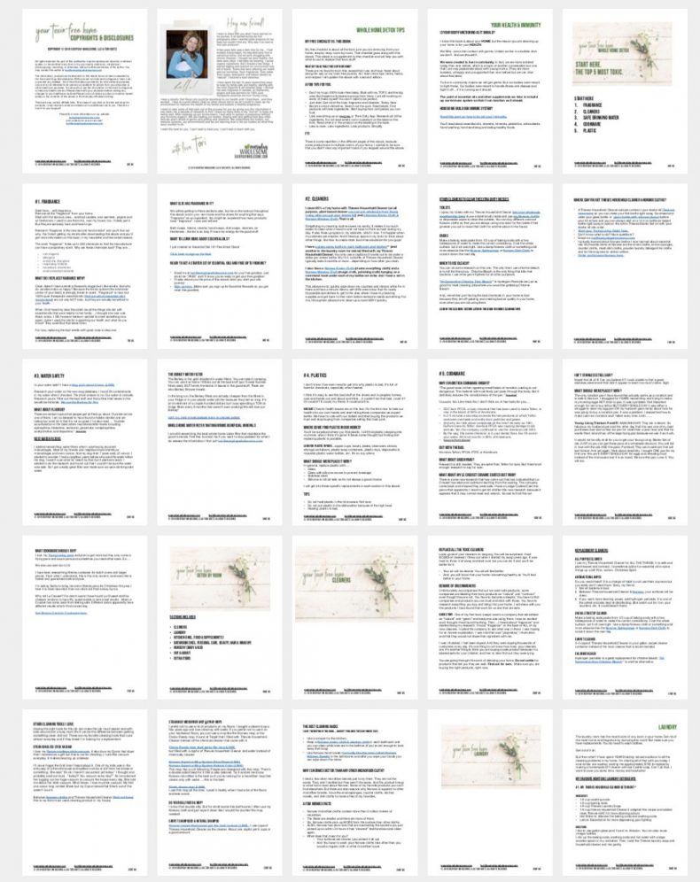 nontoxic-ebook-previews-1